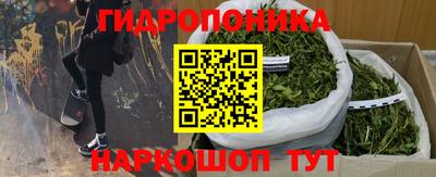 трава Краснодар