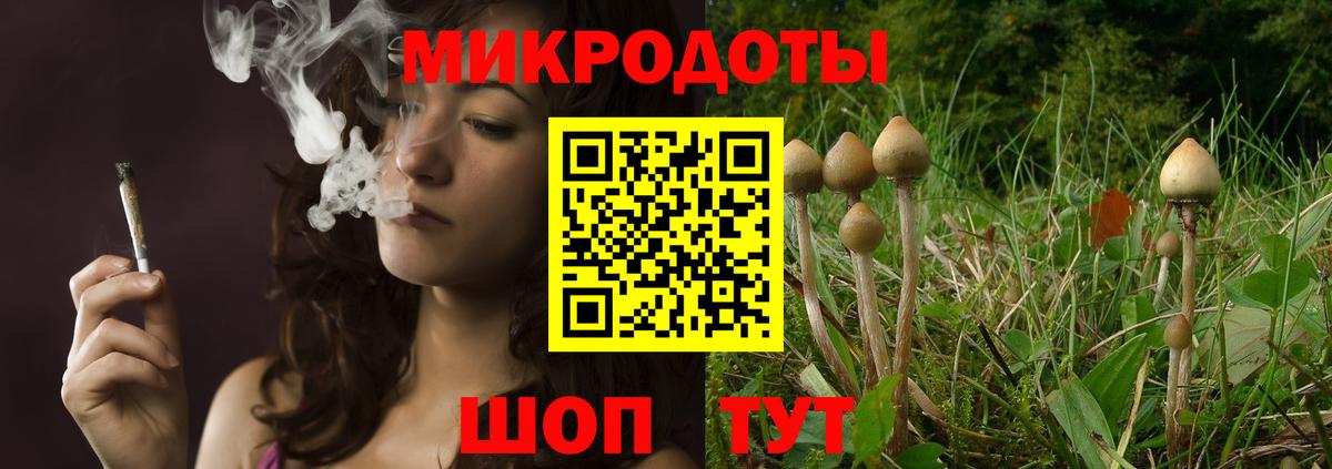 Псилоцибиновые грибы Magic Shrooms Елизово